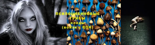 герыч Бородино