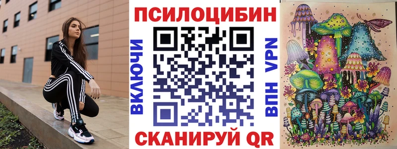 Купить  Острогожск  Псилоцибиновые грибы Psilocybe 